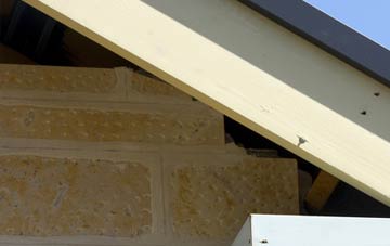 soffit repair Golder Field