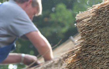 professional Golder Field thatchers